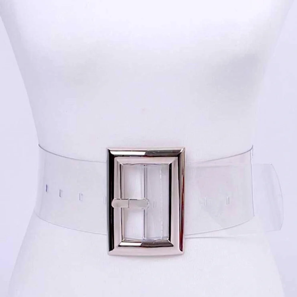 Plus Size Clear & Silver Waist Statement Belt